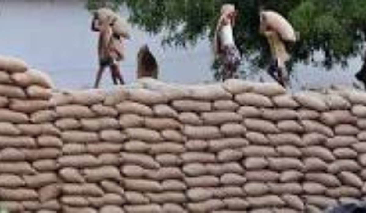 Unclaimed Truckload of Paddy Worth ₹99,000 Seized in Raigarh; Police Investigation Underway
